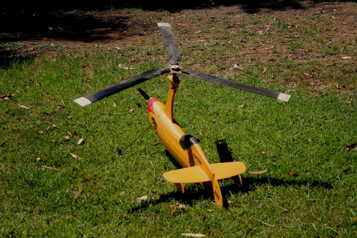 Panther Autogyro 3